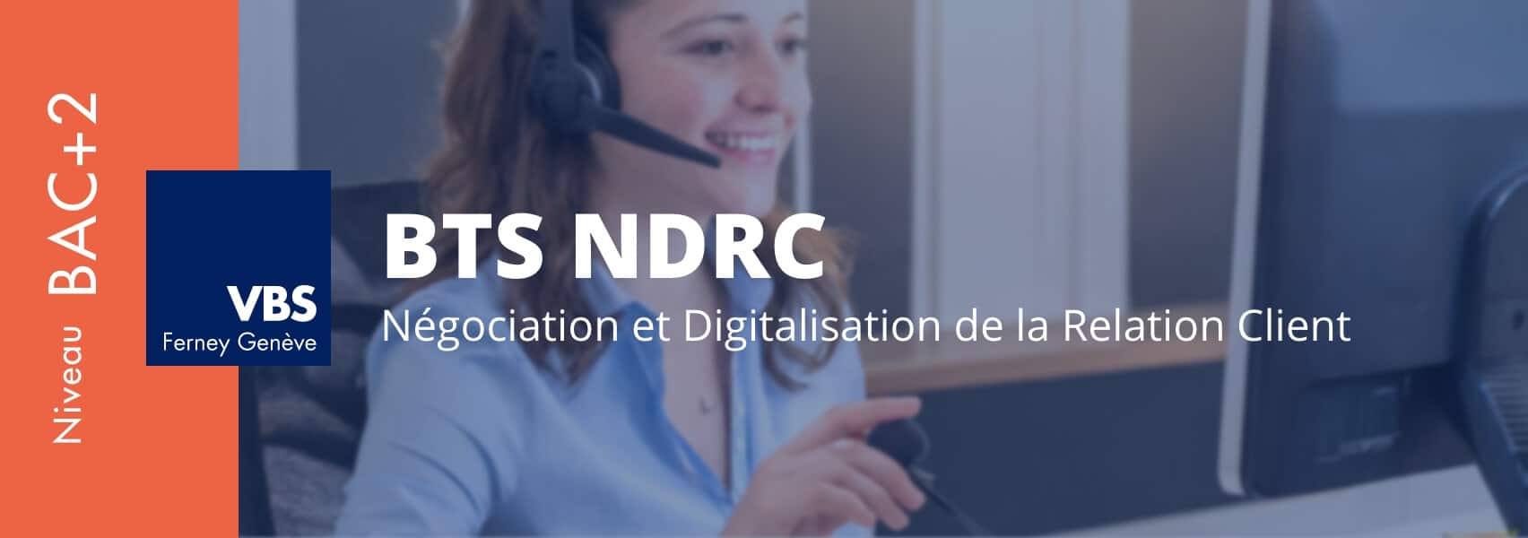 BTS NDRC Annecy, Annemasse et Genève en alternance et initial (métiers, débouchés)